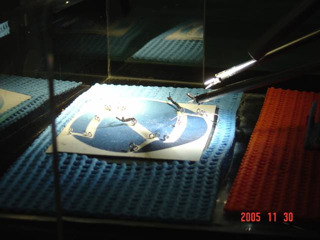 pic113.JPG